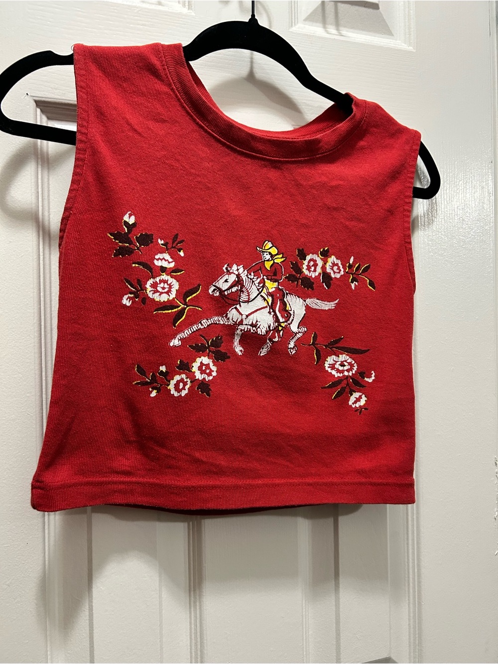 Urban Outfitters Red Floral Horse Crop Tank